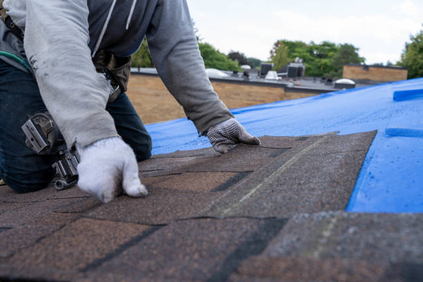 Best Storm Damage Roof Repair  in Roselle Park, NJ