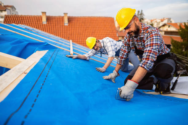 Best Local Roofing Companies  in Roselle Park, NJ