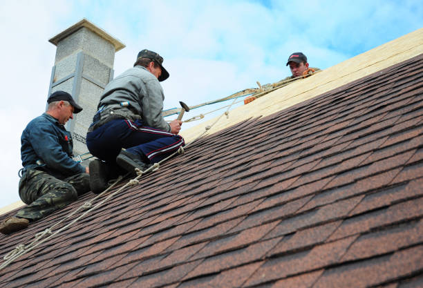 Best Roof Waterproofing Services  in Roselle Park, NJ